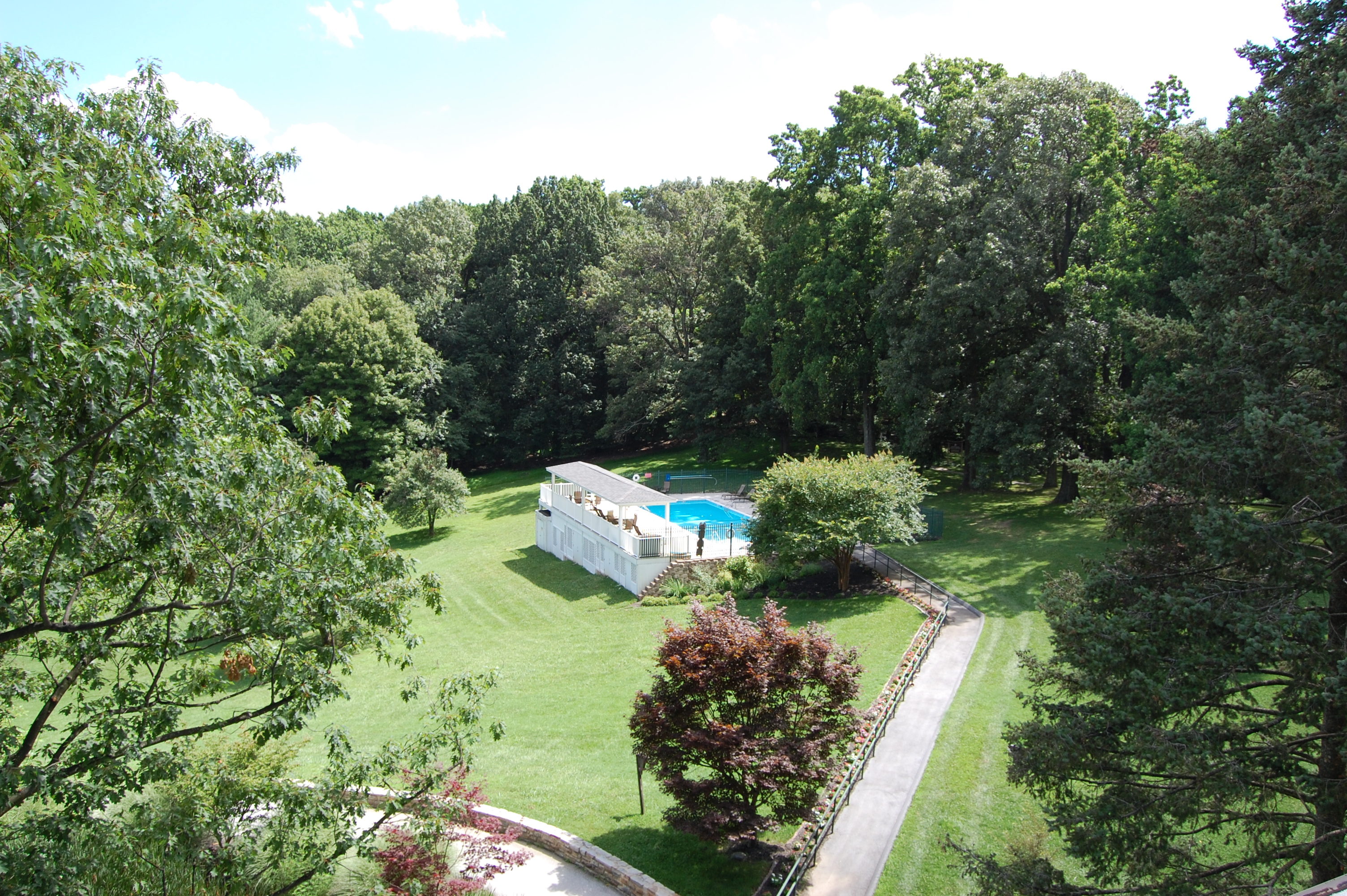 swimming, pool, summer