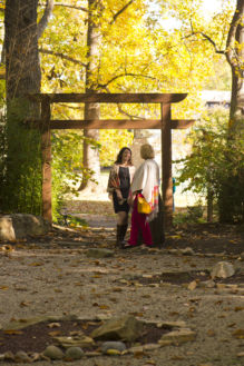 Centennial Peace Garden
