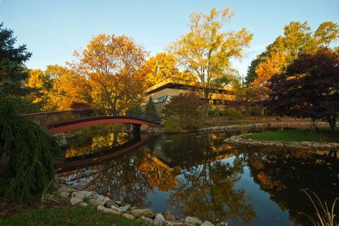 pond, reflection time, peaceful