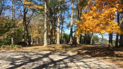 Bon Secours labyrinth