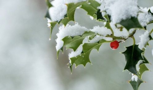 Advent prayer