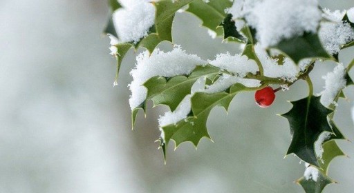 Advent prayer