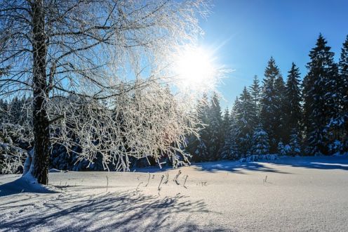 snow, sunlight, silence