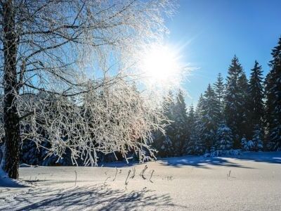 snow, sunlight, silence