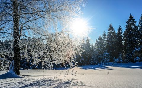 snow, sunlight, silence