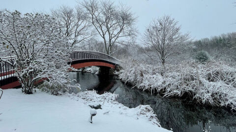 Snow covered bridge across our beautiful pond.