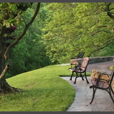 Many benches are placed around our beautiful campus for your enjoyement.