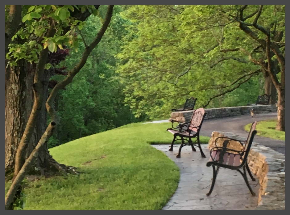 Many benches are placed around our beautiful campus for your enjoyement.